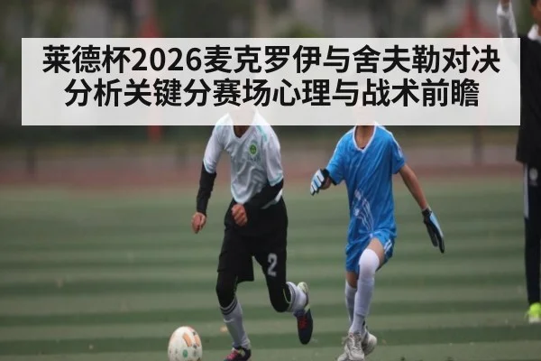 莱德杯2026麦克罗伊与舍夫勒对决分析关键分赛场心理与战术前瞻